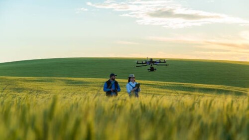 La sección Herramientas de AKIS un recurso práctico para elegir soluciones digitales con menos ruido y más criterio (1).jpg